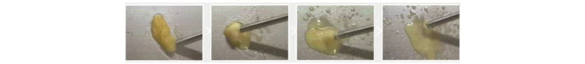 C55107d4 28e8 48be B991 D25223e05512