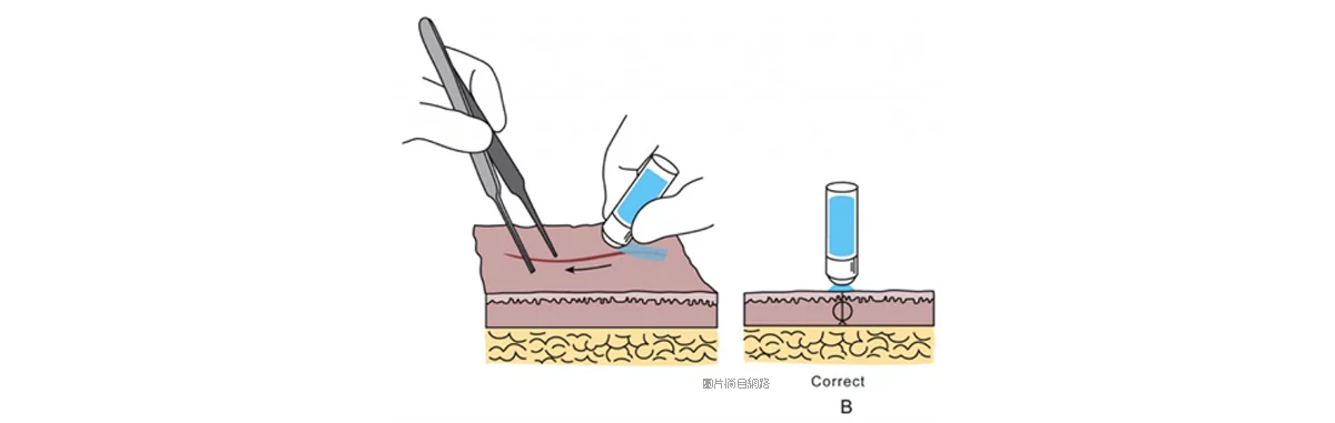 55a065bca35b40a68d36c3fb279c3798