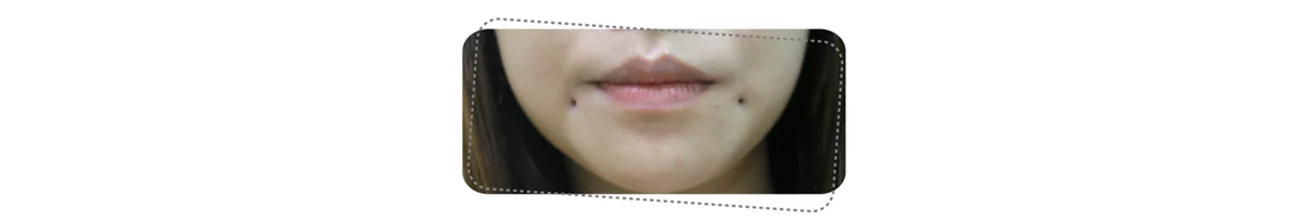 6152d40fff3b4b1e97a61bced4ca9800