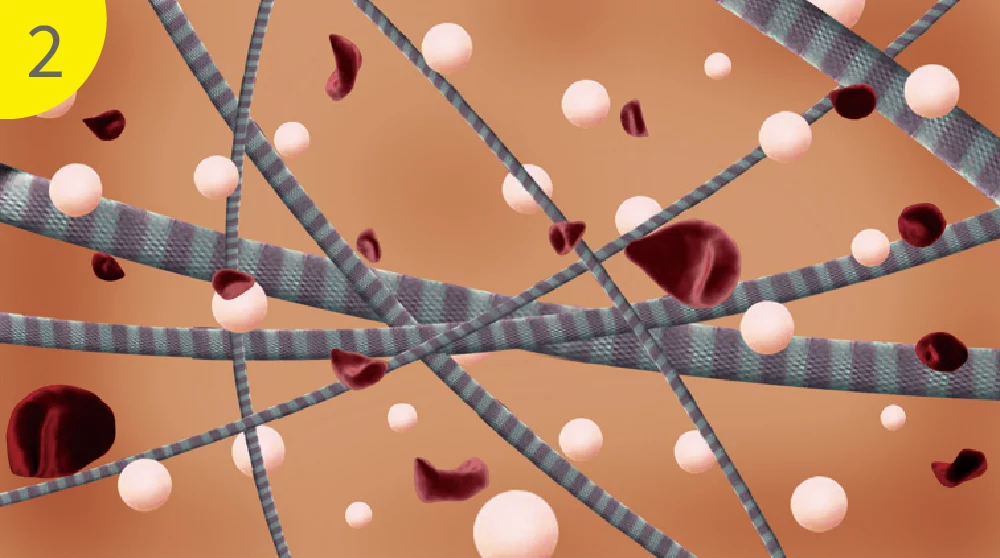 洢蓮絲 原理 03 1