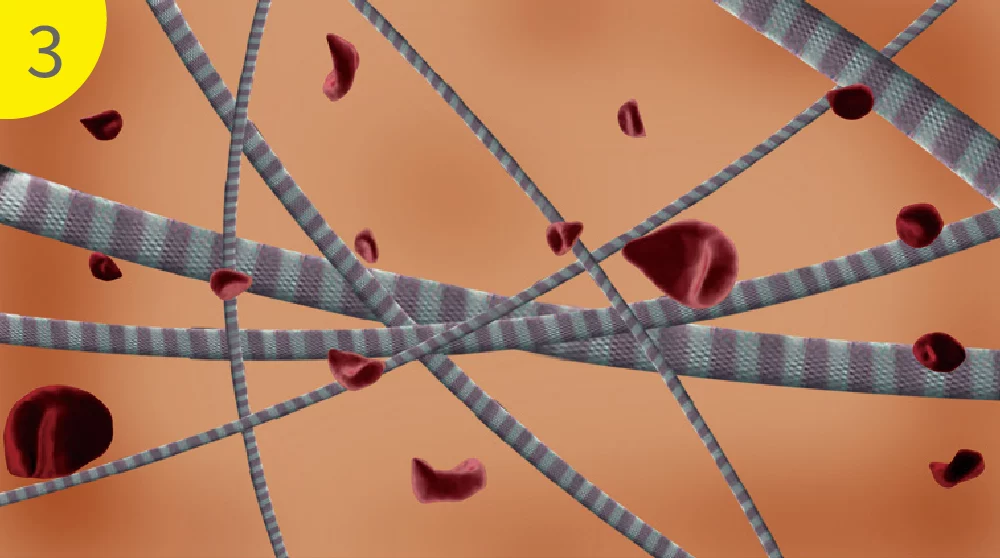 洢蓮絲 原理 04 1