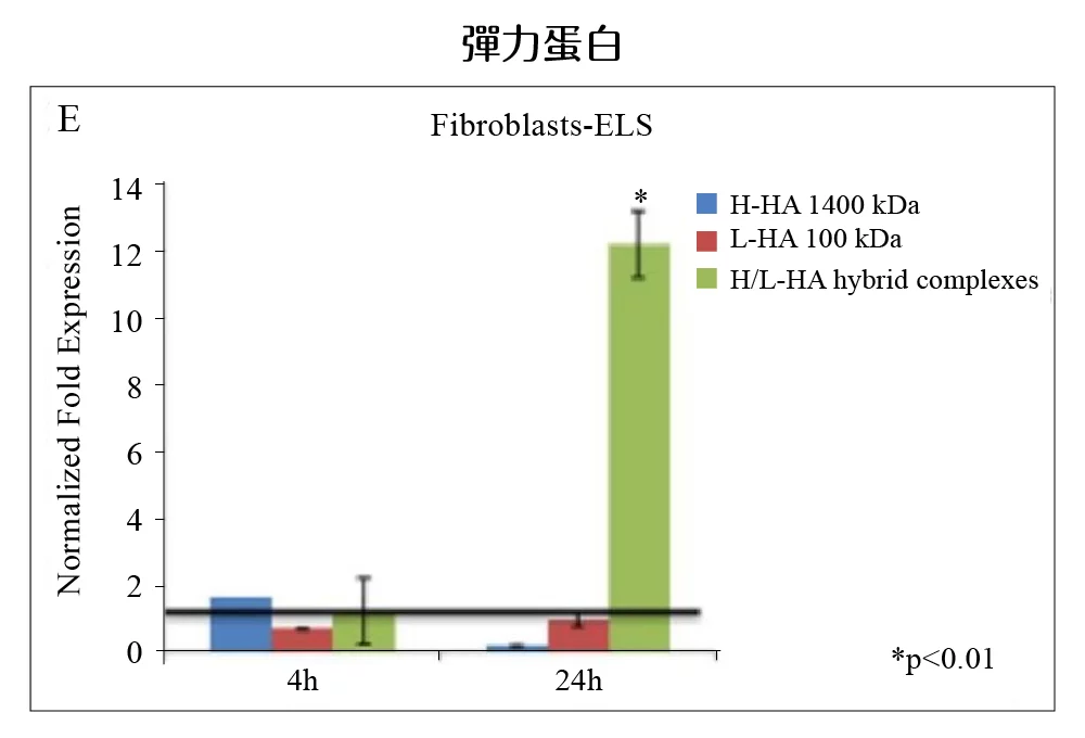 逆時針 彈力蛋白表