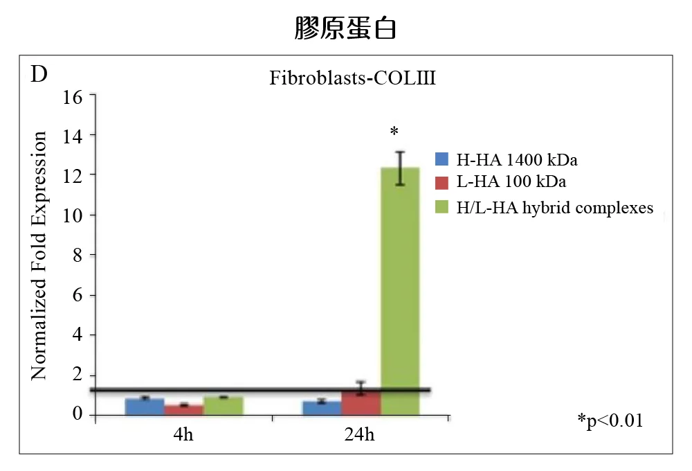 逆時針 膠原蛋白表