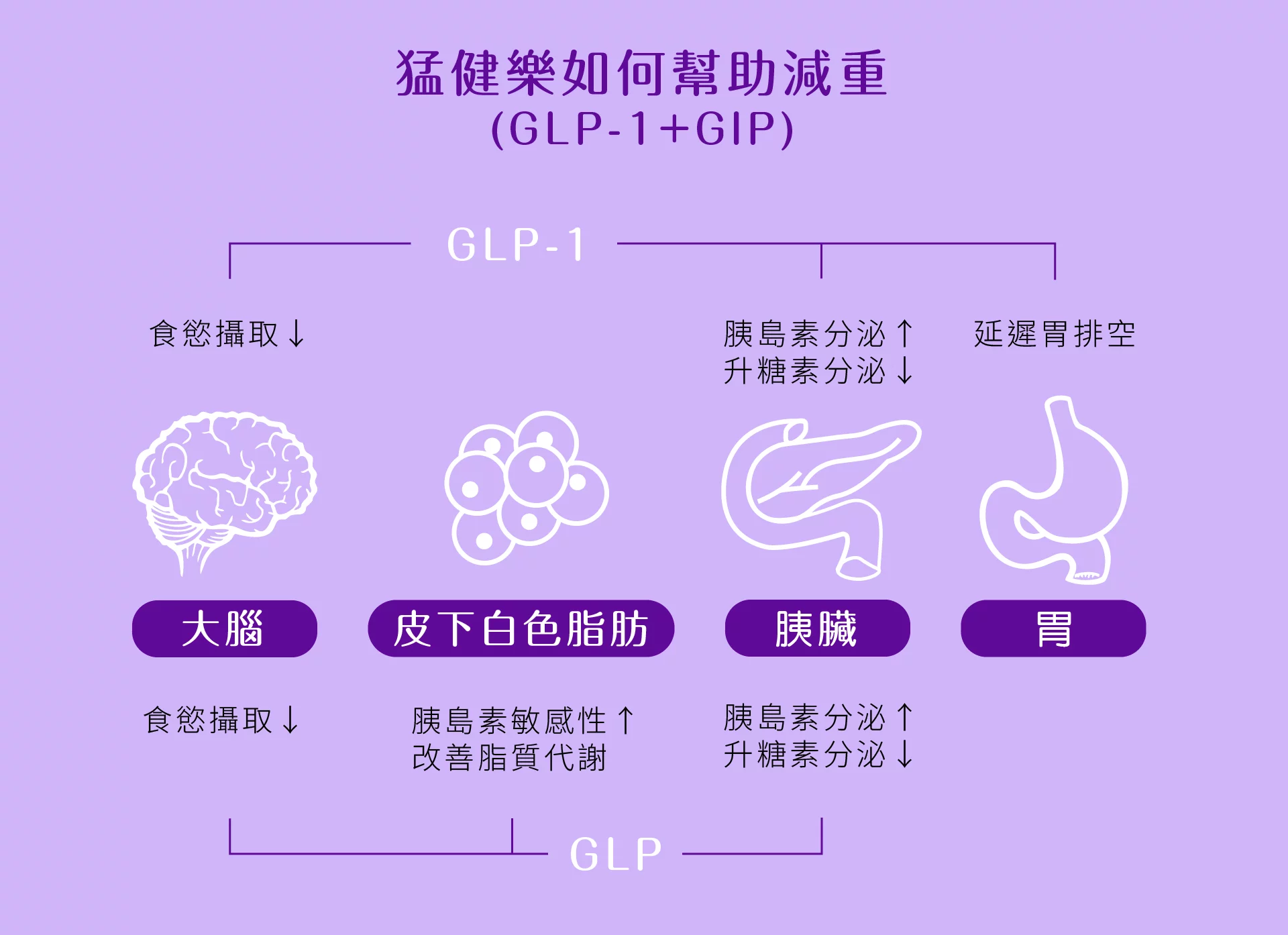猛健樂 GLP 